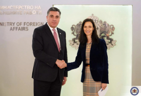Болгария поддержит предоставление Грузии статуса кандидата в ЕС