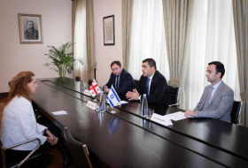 Шалва Папуашвили встретился с послом Израиля в Грузии Хадас Мейцад