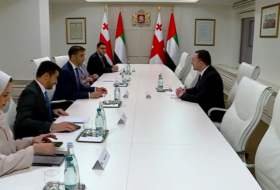 Ираклий Гарибашвили встретился с государственным министром ОАЭ по внешней торговле