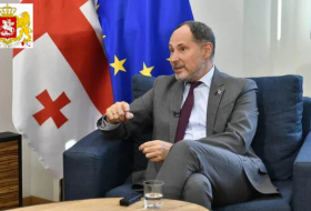 Посол ЕС: Желание большинства населения Грузии – приблизиться к Евросоюзу