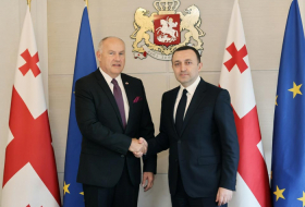 Ираклий Гарибашвили встретился с послом Чехии