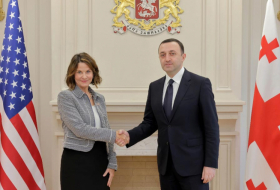 Премьер-министр Грузии встретился с послом США