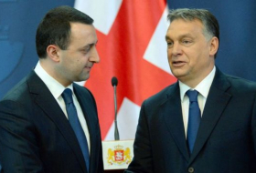 Премьер-министр Венгрии Виктор Орбан ведет переговоры в Тбилиси