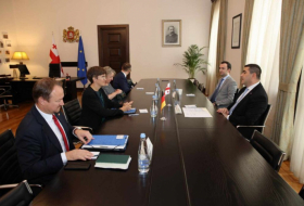 Шалва Папуашвили встретился с государственным министром Германии по вопросам Европы и климата