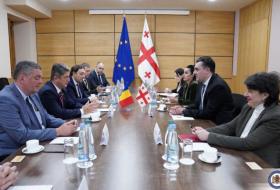 Илья Дарчиашвили встретился с делегацией комитета по внешним связям Сената Румынии