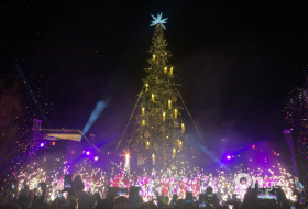 Тбилиси встретит Новый год с новой елкой – выделено более 700 тысяч лари