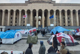 Парламент Грузии в первом чтении принял законопроект об ограничениях на палатки во время акций протеста