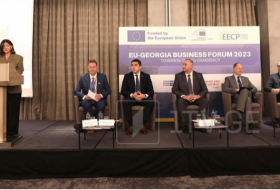 В Тбилиси проходит «Бизнес-форум ЕС-Грузия 2023»