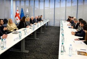 Natia Turnava met with the EBRD Managing Director of Financial Institutions and members of the Board of Directors