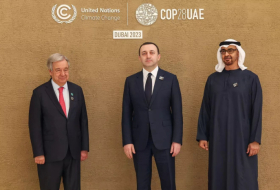 Премьер Грузии поделится с участниками саммита ООН по климату в ОАЭ своим видением