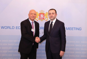 В рамках визита в Давос Ираклий Гарибашвили встретился с исполнительным председателем компании Koç Holding