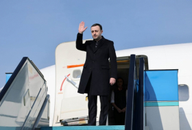 Премьер-министр Грузии в Давосе обсудит ситуацию со свинцом и будущее Евразии