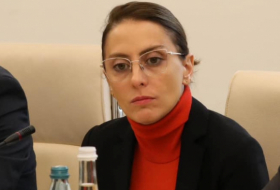 Khatia Dekanoidze: The Parliament of Georgia does not perform its main function - a supervisory function towards the Government of Georgia