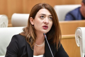 Анна Бучукури - 70-80% плана правительства в точности повторяют ту программу, которую Георгий Гахария представил в декабре 2020 года