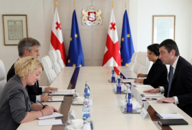 Георгий Гахария встретился с руководителем Мониторинговой миссии ЕС в Грузии