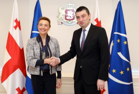Премьер Грузии обсудил с генсеком Совета Европы приоритеты председательства Грузии в организации