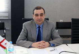 Михаил Чхенкели назначен министром образования, науки, культуры и спорта Грузии