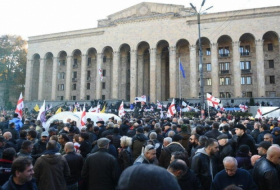 Участники акции устанавливают 24-часове дежурство у входов в парламент Грузии