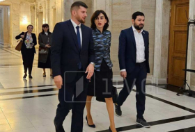 Парламентская делегация Грузии проводит встречи в Болгарии