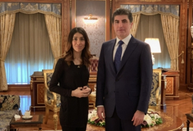 Надия Мурад встретилась с  Нечирваном Барзани