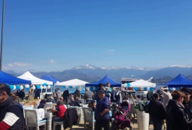 Fish and Seafood festival held in Batumi