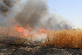 ЯЗДА (YAZDA) призывает иракские власти: Исследовать происхождение пожаров 