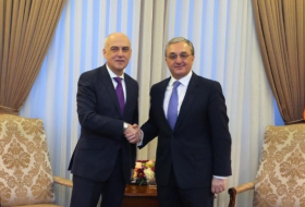 Министры иностранных дел Грузии и Армении обсудили вопросы сотрудничества двух стран
