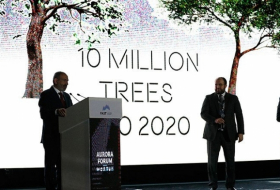 Правительство Армении планирует до 10 октября 2020 года посадить десять миллионов деревьев