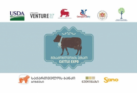 Масштабная выставка крупного рогатого скота пройдет в Тбилиси 26 октября