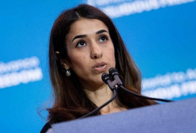 Надия Мурад осудила вторжение ВС Турции в Сирию