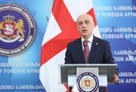 Georgian foreign Ministry: all citizens of the country will return home in stages
