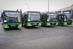 Решение о добавлении автобусов за мэрией – Тбилисская транспортная компания