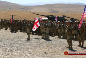 В Грузии в сентябре пройдут военные учения «Достойный партнер-2020»