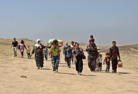 Immigration and internally displaced persons appeal to the international community to return Yazidis to their places of origin