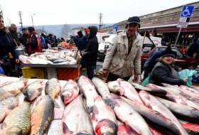 ЕС поможет Грузии разработать Национальную стратегию аквакультуры