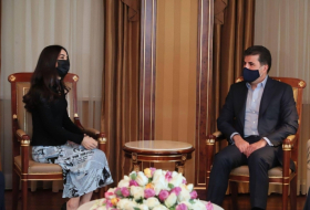 Состоялось встреча Надии Мурад и президента Курдистана Нечирвана Барзани