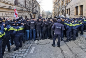 Оппозиция начала пикетирование парламента Грузии – задержан один из участников акции