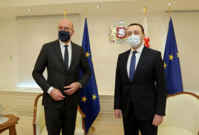 Гарибашвили о визите президента Евросовета: Наш регион имеет стратегическое значение для ЕС