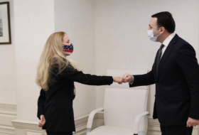 Келли Дегнан Ираклию Гарибашвили - США продолжат поддерживать Грузию