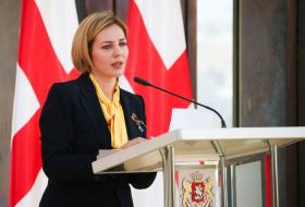 Анна Долидзе создает новую политическую партию
