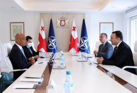В администрации правительства прошла встреча Ираклия Гарибашвили и Джеймса Аппатурая