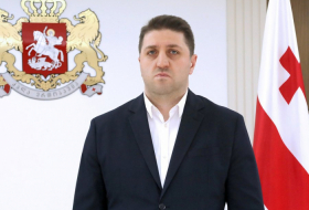 Нико Татулашвили назначен советником премьер-министра Грузии по вопросам прав человека