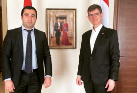 В Армении состоялось встреча между президентом организации «Молодые езиды» и послом Нидерландов