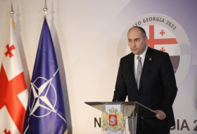 Министр обороны Грузии назвал «неправильным» нарратив Киева в адрес Тбилиси