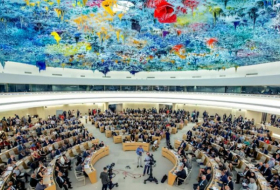 Грузия во второй раз избрана членом Совета ООН по правам человека