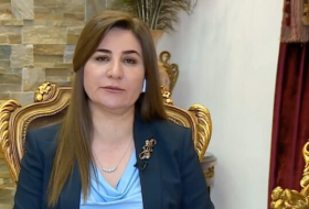 Vian Dakhil Yazidi MP: The decision to cancel security checks for IDPs is disastrous for a country like Iraq