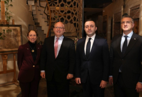 Гарибашвили обсудил отношения Грузии и США на встрече с главным советником Госдепа