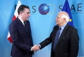 Как Грузия выполняет 12 условий ЕС? Глава МИД рассказал Боррелю все детали