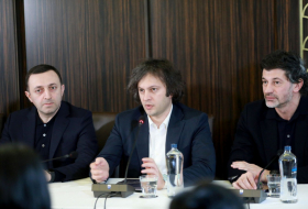 Georgian Dream and members of the Government discussed the action plan