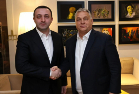 Премьер-министр Грузии в Венгрии участвует в конференции консерваторов